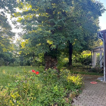 Unterkunft Mozart Magdeburk Exteriér fotografie